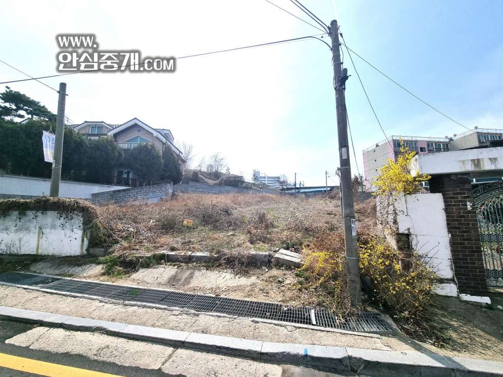 전북 익산시 모현동1가 (익산) 익산 모현동 중심상권 토지 매매 매매 매물번호 10259 사진 2